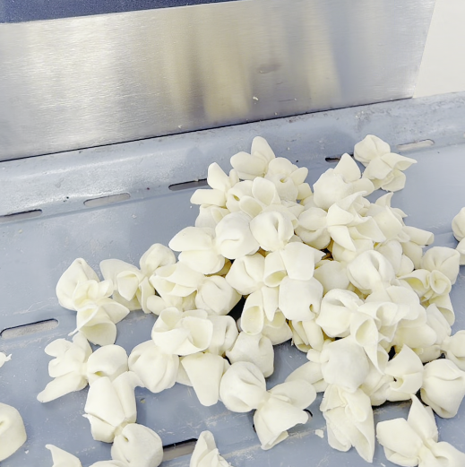 多功能小鱼混沌机